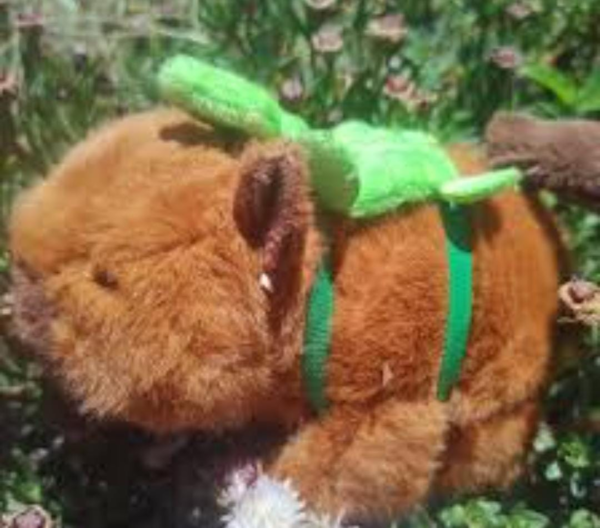 🎒🧸 Peluche Capibara con Mochila – Suave, Grande y con Detalles Encantadores 🧸🎒 - Image 4